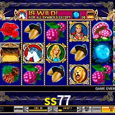 ss77 Rio de Janeiro - Bonus Terms